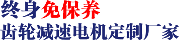 17年專注齒輪減速馬達、調速電機研發、生產